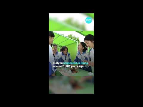China Powers Global 'Matcha Mania'