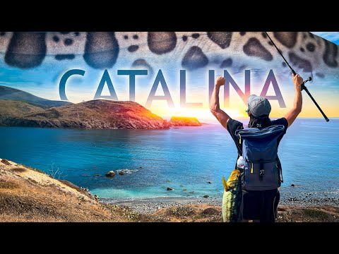 3 DAYS EATING ANYTHING I CATCH CAMPING - Catalina Island