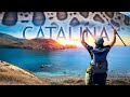 3 DAYS EATING ANYTHING I CATCH CAMPING Catalina Island