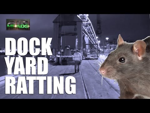 AirHeads – Rats infest our Dockyards AirHeads – Rats infest our Dockyards