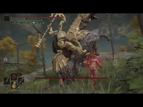 Elden Ring - Double Dagger build Melts HP