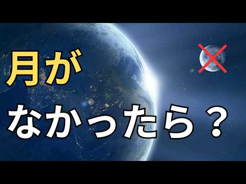 秋の温室：場所を変えてみませんか？地球を再生するにはどうすればよいでしょうか？  庭園
