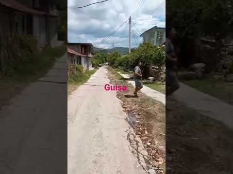 Reparto nuevo guisa 🤯🤯🤯