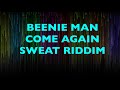 Beenie Man   Come Again                 Sweat Riddim    2006  CEV