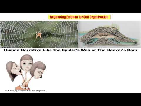 05 Regulating Emotion for Self Organisation