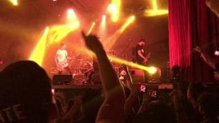 Zero Insite Cafe Iguana