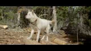 El Último Cazador - Entera Castellano