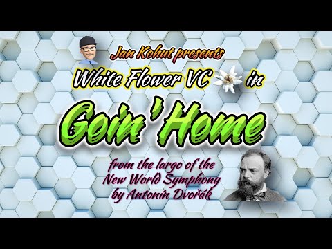 White Flower VC #49 - Going Home