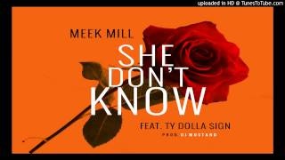 Meek Mill - She Dont Know Feat. Ty Dolla $ign (@deanire @DJMustard)