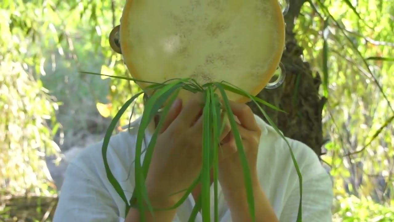 The tambourine tree, 2017