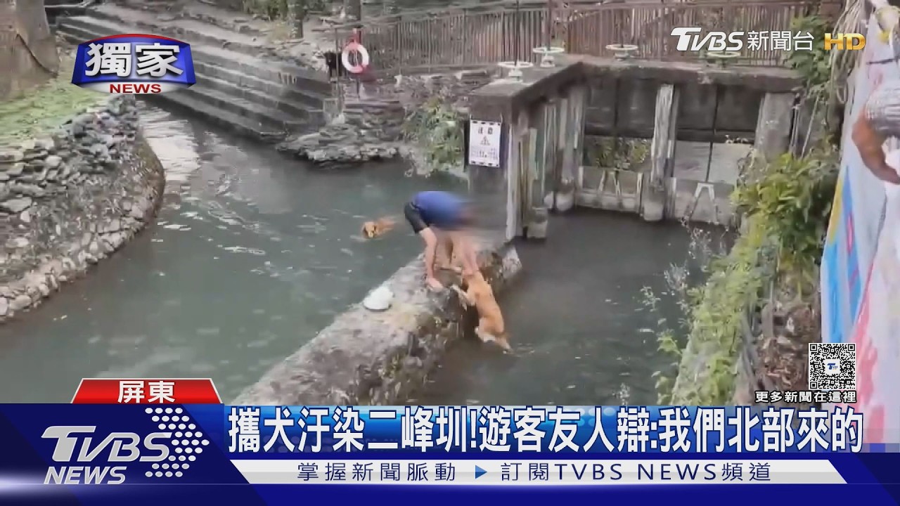 影音獨家/帶3大狗闖二峰圳戲水! 遭勸竟嗆「北部來的」 居民炸鍋