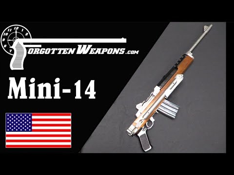 The Mini-14: A Cost-Effective Scaled-Down M14