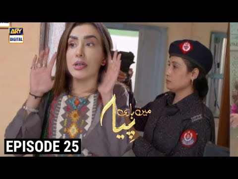 Mein Hari Piya Episode 25 | Mein Hari Piya Ep 25| Best Scene 01 | ARY DIGITAL