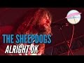 The Sheepdogs Alright OK Live At The Edge