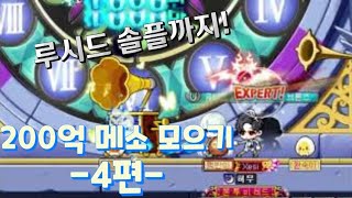 광부 나이트로드 이지루시드 솔격 도전 !