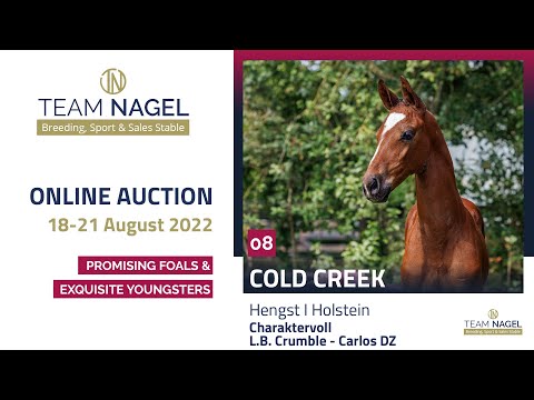 Katalog 08 - Hengst v. Charaktervoll - L.B.Crumble – Carlos DZ * 18.06.2022