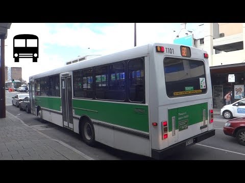Mercedes-Benz O405 CNG and O405NH CNG - Departing from Traffic Stop (Transperth Buses Route 60)