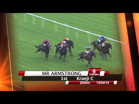 Emirates Singapore Derby 2014 Contenders (Mr Armstrong)
