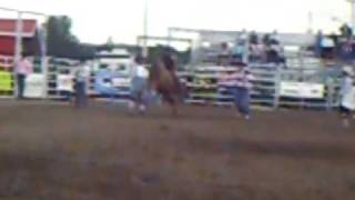 preview picture of video 'sundre pro rodeo steer riding'