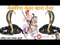 केसरिया कंवर म्हारा तेजा कवंर थारी घो�