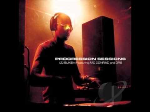 LTJ BUKEM Progression Sessions 5 Skyward