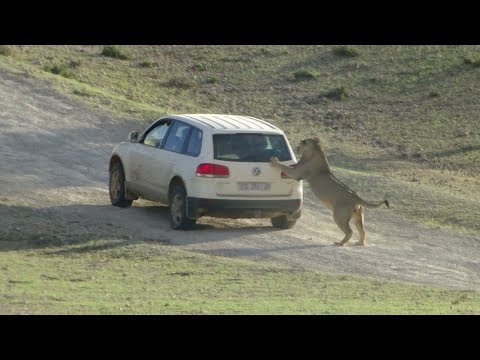 6 Things NOT To Do in Botswana