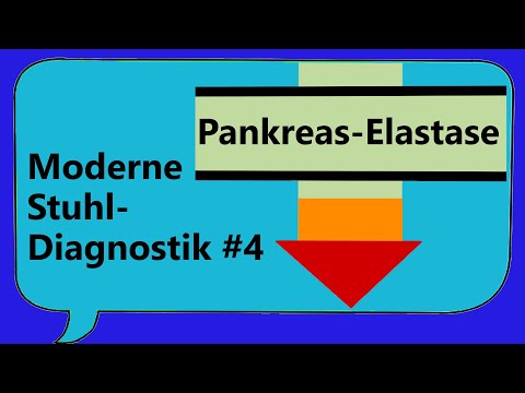 Alles Scheiße? Pankreas-Elastase! Bauchspeicheldrüse-Insuffizienz, Enzym, Verdauung/Befund verstehen