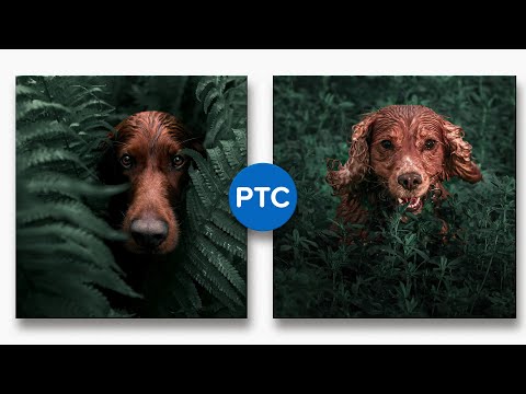 Trick To Change SPECIFIC Colors in Photoshop