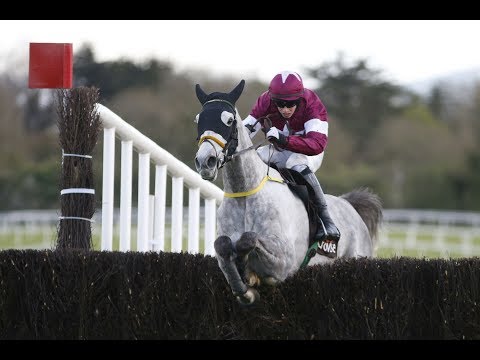 Disko - Growise Champion Novice Chase