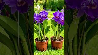 20 de março de 2026