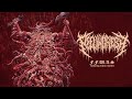 PEELINGFLESH F F W A S Official Stream