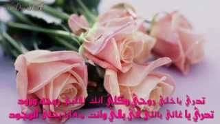 كلمات اغنية تدري طلال سلامة