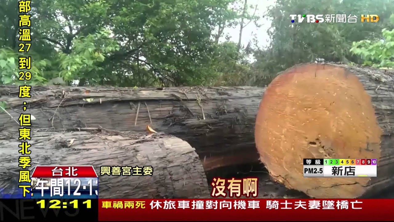 ​逆轉！漂流木非山老鼠　議員：重點是警方瑕疵