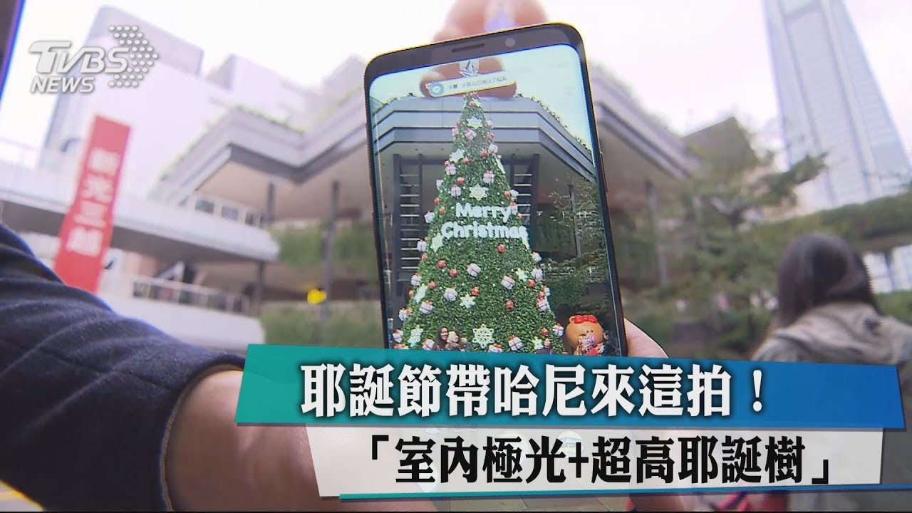 耶誕節帶哈尼來這拍！　「室內極光+超高耶誕樹」