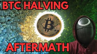 Bitcoin Halving Aftermath - What BTC Halving Means For YOU