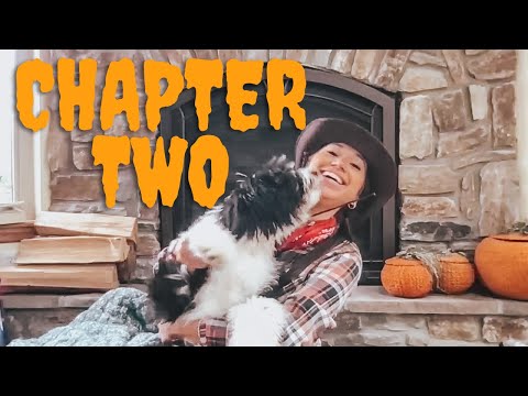 Chapter 2: The Haunted Library