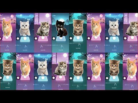 ALL CUTE CATS PT.3 - WAKA WAKA - JISOO FLOWER - BTS DYNAMITE - IMAGINE DRAGONS TILES HOP