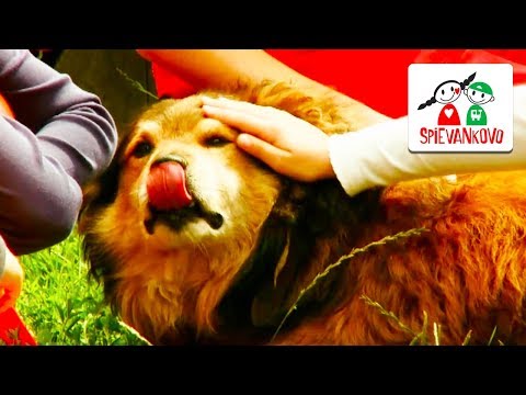 Náš Brok - SPIEVANKOVO 1