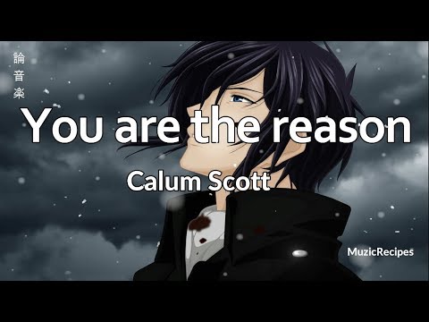 「MuzicRecipes - Calum Scott」 → You are the reason (Lyrics Video)🎵