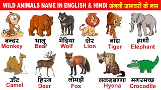Wild Animals Hindi Eng Watch HD Mp4 Videos Download Free Wild Animals Hindi Eng Watch HD Mp4 Videos Download Free