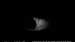 Noizy - Midis Tirone (FOGG Remix) TECHNO