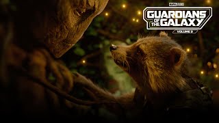 Guardians of the Galaxy Volume 3 (2023) Video