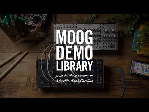 Синтезатор аналогового моделювання MOOG SPECTRAVOX