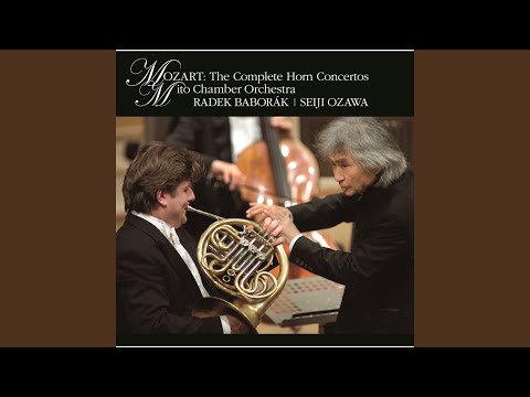 Horn Concerto No. 4 in E-flat Major, K. 495  I. Allegro maestoso