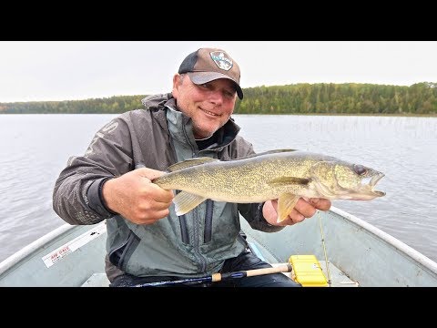 September Walleyes On Nameigos Lake - An Algoma Country Gem!