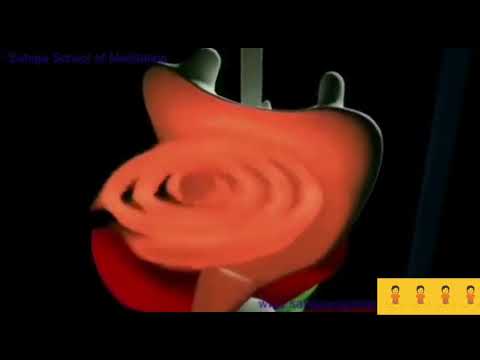 Kundalini chadhi badhi jaye mori Nirrmala Mata🙏🙏🌹🌹