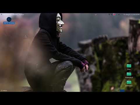 Terminal Blinking Error in linux