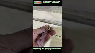 Máy đóng sò tự động Woodmaster