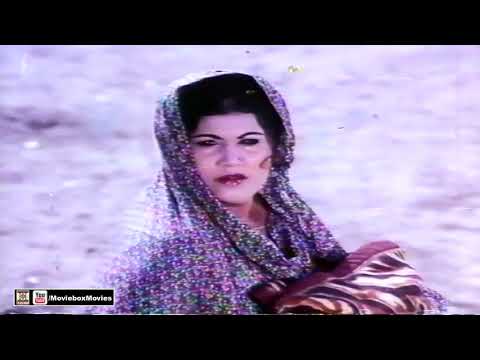 DOOR BARI DOOR - NOOR JEHAN - FILM JAGGA TE RESHMA