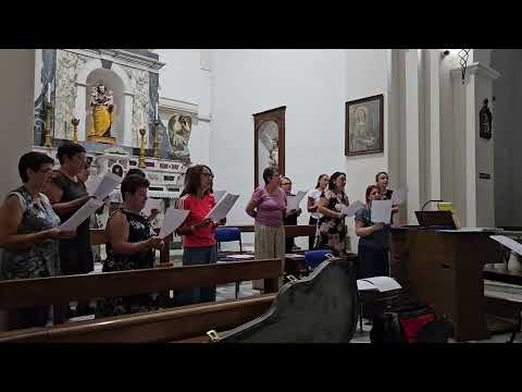 Avrai cura di noi (A. Benedetti, G.Anselmi), interpretata dal Coro S. Teresina, P. Sant'Andrea A.